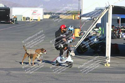 media/Feb-23-2025-2WTD (Sun) [[9604a77d5d]]/1-Around the Pits/